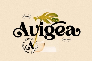 Avigea Modern Serif Font LS Font Download