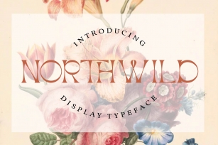 Northwild Font Download