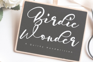 Birdie Wonder Font Download
