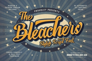 The Bleachers Font Download