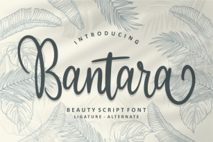 Bantara | Modern Script Font Font Download