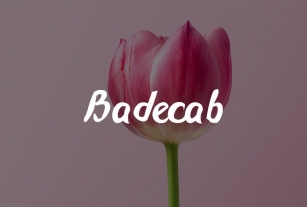 Badecab Font Download