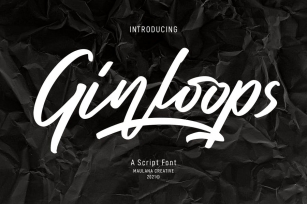 Ginloops Handwritten Script Font Font Download