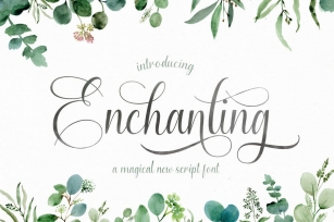 Enchanting Script Font Font Download
