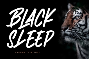 Black Sleep Font Download