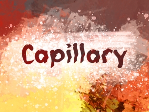 C Capillary Font Download