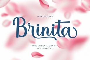 Brinita Script Font Download