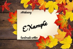 EXample Font Download