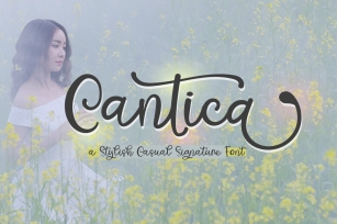 Cantica Script Font Download
