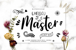 Hello Master DUO with Doodle Font Download