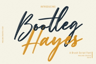 Bootleg Hayes Brush Script Font Font Download