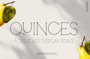 Quinces – Delicate Display Serif Font Download