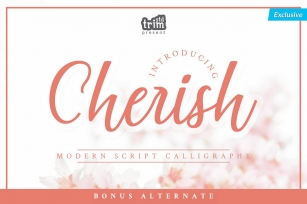 Cherish Modern Script Set Font Download