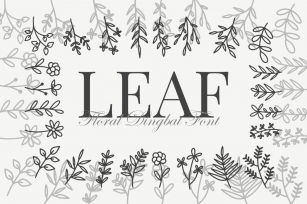 Leaf Font Download