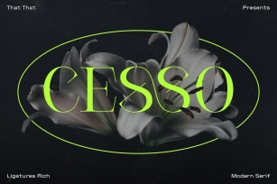 Cesso: Ligature Serif Font Download