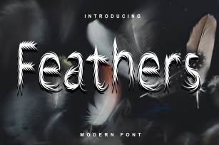 Feathers Font Download
