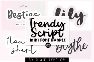 MINI Trendy Script Font Bundle Font Download