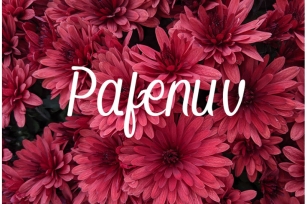 Pafenuv Font Download