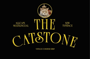 THE CATSTONE Font Download