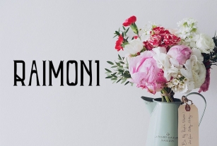 Raimon Font Download