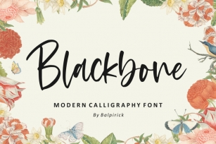 Blackbone Modern Calligraphy Font Font Download
