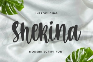 Web Shekina Font Download