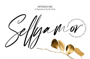 Sellyamor Signature Script Font Font Download