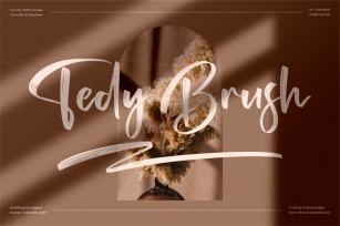 Tedy Brush - Premium Brush Font Font Download