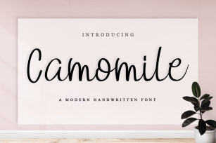 Camomile Font Download