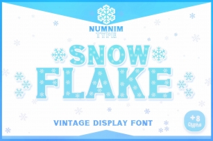 Snow Flake Display Christmas winter procreate OTF Font Download