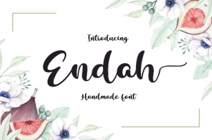 Endah Script Brush Font Download