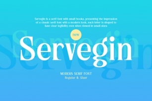Servegin - Modern Serif Font Font Download