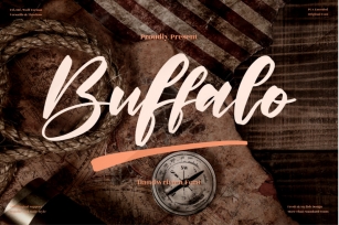Buffalo - Modern Calligraphy Font Font Download