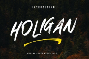 Holigan - Brush Font Font Download
