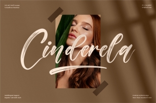 Cinderela - Premium Brush Font Font Download