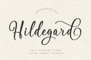 Hildegard Script Font Download
