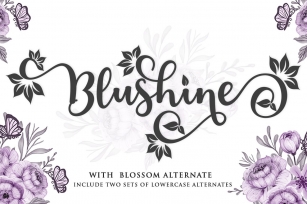 Blushine Script Font Download