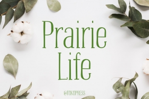 Prairie Life – Cute font Font Download