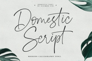 Domestic Script Font Download