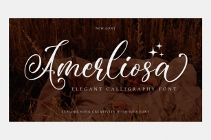 Amerliosa - Elegant Font Font Download