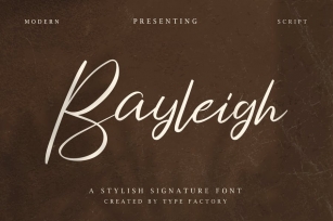 Bayleigh – Stylish Signature Font Font Download