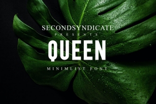 Queen - Minimalist Font Font Download