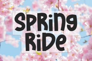 Spring Ride Font Download