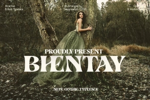 Bhentay Typeface Font Download