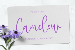 Camelow Font Download