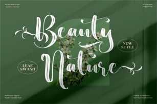 Beauty Nature - Beautiful Brush Font Font Download