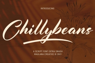 Chillybeans Script Font Download