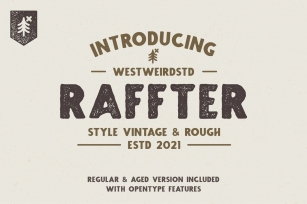 RAFFTER Sans Serif Font Download