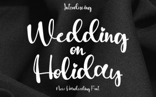 Wedding on Holiday Font Download