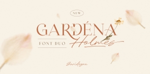 Gardena Holmes Scrip Font Download